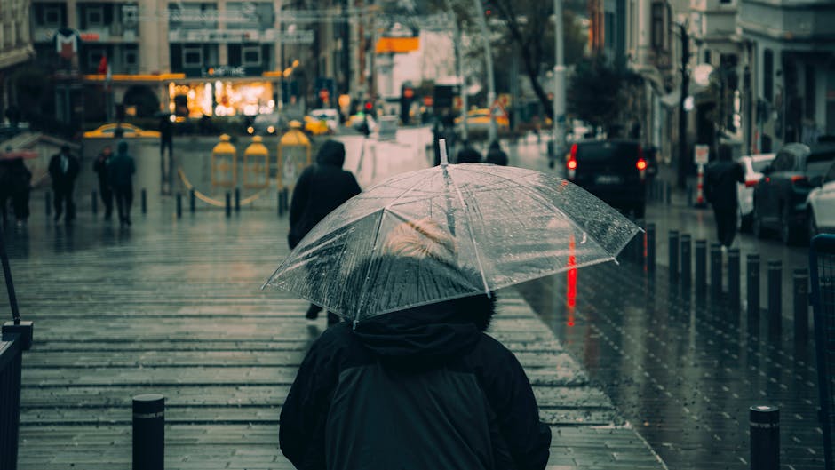 umbrella street rain - umbrella street rain minh họa phù hợp với nội dung bài viết 2